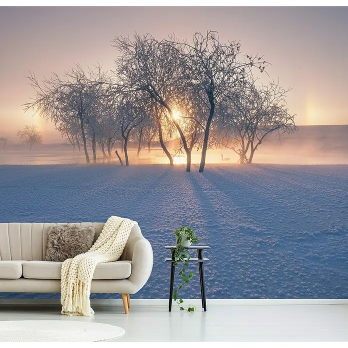 Papermoon Premium collection Fototapete Schneelandschaft Winter - B x H: 250 x 186 cm, Vlies - Wandbild mit Winterlandschaft, das eine ruhige, frostige Szene mit Bäumen, Schnee und sanftem Sonnenlicht zeigt, ideal für moderne Wohnräume.