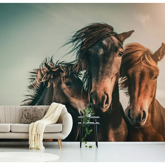 Papermoon Premium collection Fototapete Familienporträt - B x H: 250 x 186 cm, Vlies - Dieses beeindruckende Wandbild zeigt drei Wildpferde, die dem Raum einen Hauch von natürlicher Eleganz verleihen und die Fantasie anregen.