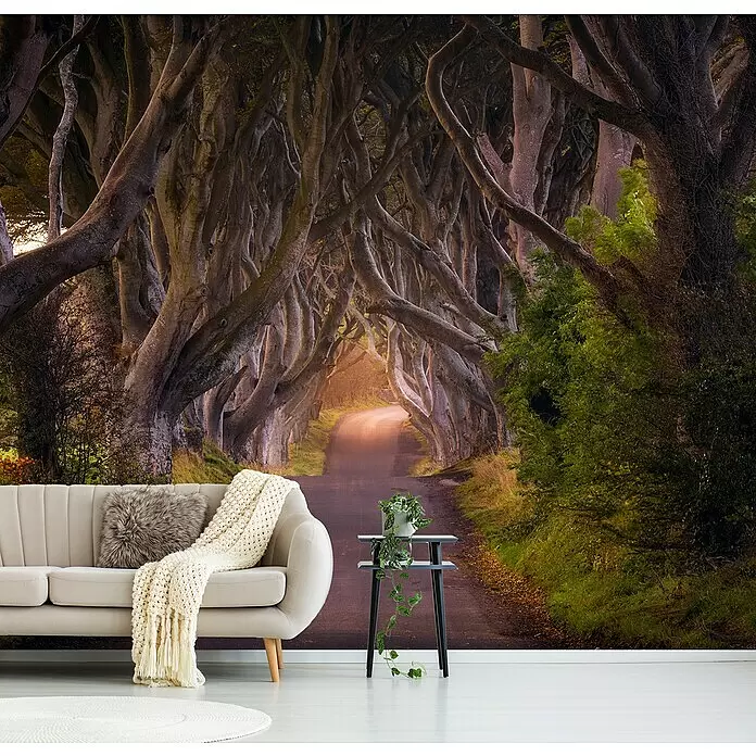 Papermoon Premium collection Fototapete Glühenden Hedges - B x H: 200 x 149 cm, Vlies - Wandbild mit einer mysteriösen, von Bäumen gesäumten Straße und verschlungenen Ästen, hinter einem beigen Sofa im modernen Wohnzimmer.