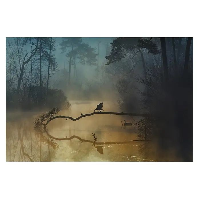 Papermoon Premium collection Fototapete Blaue Stunde - B x H: 300 x 223 cm, Vlies - Ein stimmungsvolles Bild einer nebligen Seenlandschaft mit Silhouette eines Vogels auf einem Ast und zwei Schwänen im Wasser.