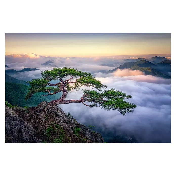 Papermoon Premium collection Fototapete Auf dem Berg - B x H: 250 x 186 cm, Vlies - Atemberaubende Aussicht von einem Felsen mit einem malerischen Baum, umgeben von Wolken und Bergen im Hintergrund.