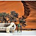 Papermoon Premium collection Fototapete Akazie in der Wüste 