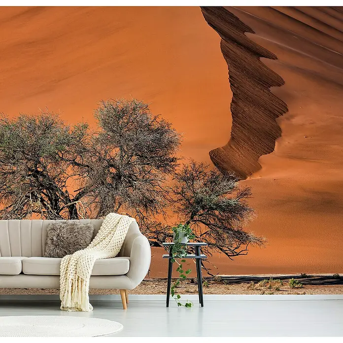 Papermoon Premium collection Fototapete Akazie in der Wüste - B x H: 500 x 280 cm, Vlies - Wandbild mit Wüstenmotiv über Sofa und Tisch.