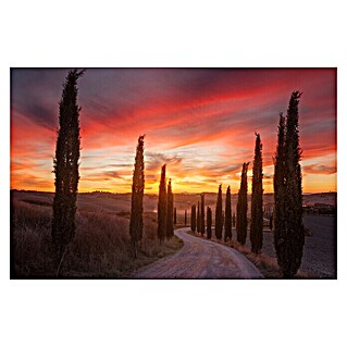 Papermoon Premium collection Fototapete Toskana-Sunset (B x H: 200 x 149 cm, Vlies)