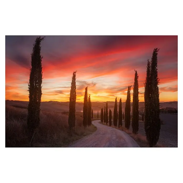 Papermoon Premium collection Fototapete Toskana-Sunset - B x H: 250 x 186 cm, Vlies - Tuscanische Landschaft mit Zypressenallee bei Sonnenuntergang. Malerische Straße führt durch die Hügel, ideal für eine entspannende Fahrt.