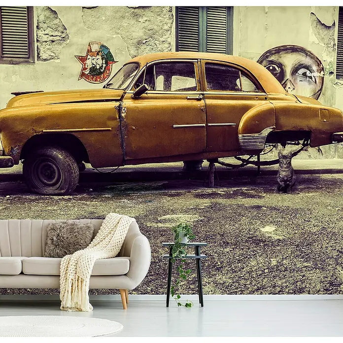Papermoon Premium collection Fototapete Altes Auto / Katze - B x H: 250 x 186 cm, Vlies - Wandbild mit einem Oldtimer und einer Katze als dekoratives Element für eine stilvolle Raumgestaltung.