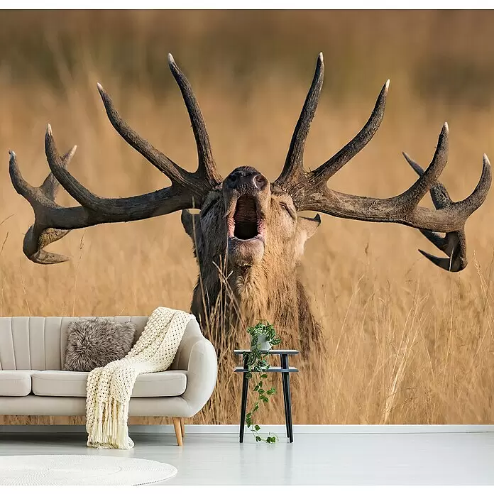 Papermoon Premium collection Fototapete Brunstschrei Hirsch - B x H: 250 x 186 cm, Vlies - Große Wandtapete mit brüllendem Hirsch auf einem Feld, die ein gemütliches Wohnzimmer schmückt.