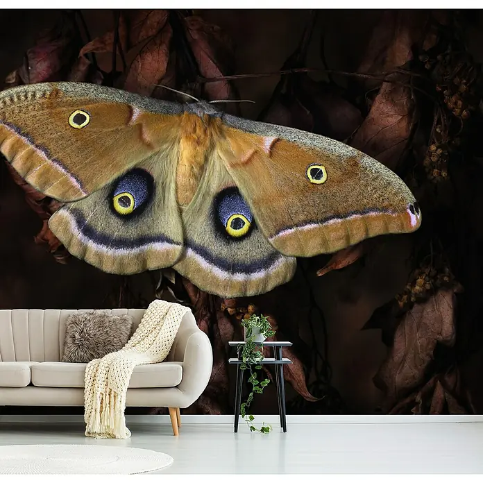 Papermoon Premium collection Fototapete Schmetterling - B x H: 400 x 260 cm, Vlies - Wandbild mit einem riesigen Schmetterling, der eine gemütliche und natürliche Atmosphäre schafft. Perfekt für Wohnzimmer und Schlafzimmer.