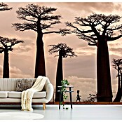 Papermoon Premium collection Fototapete Madagaskar (B x H: 300 x 223 cm, Vlies) | BAUHAUS