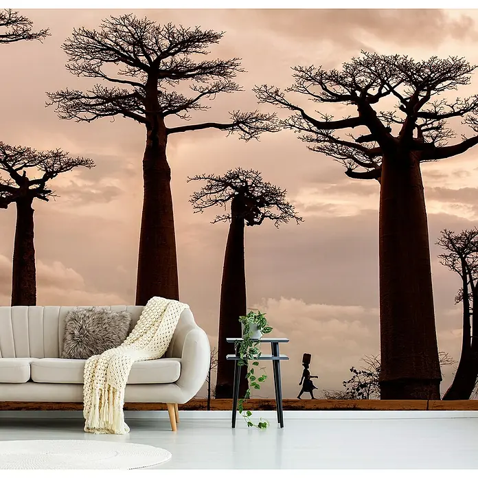Papermoon Premium collection Fototapete Madagaskar - B x H: 500 x 280 cm, Vlies - Ein stilvolles Interieur mit einer Couch, einem Beistelltisch und einer beeindruckenden Fototapete mit Baobab-Bäumen für eine besondere Atmosphäre.