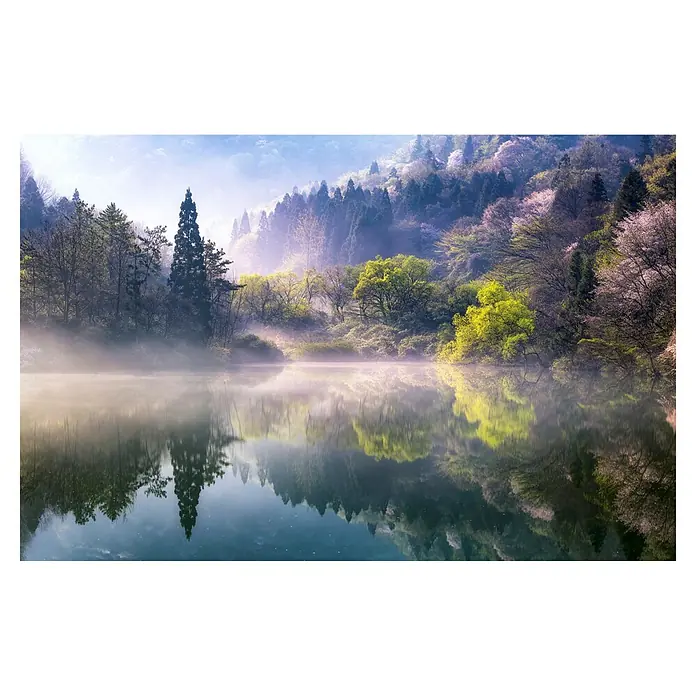 Papermoon Premium collection Fototapete Morgen ruhig - B x H: 250 x 186 cm, Vlies - Die ruhige Wasseroberfläche reflektiert die umliegenden Bäume und den nebelverhangenen Hintergrund und schafft eine friedliche Waldszene.