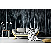 Papermoon Premium collection Fototapete In den Wal (B x H: 250 x 186 cm, Vlies) | BAUHAUS