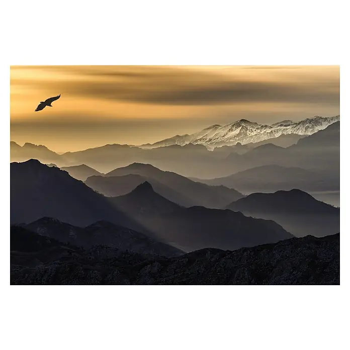 Papermoon Premium collection Fototapete Schichten - B x H: 350 x 260 cm, Vlies - Silhouette eines Vogels am Himmel über Bergketten im Nebel. Eindrucksvolle Landschaft mit dunklen und goldenen Farbtönen.