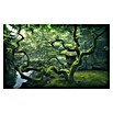 Papermoon Premium collection Fototapete Japanischer Baum (B x H: 300 x 223 cm, Vlies) | BAUHAUS