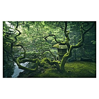 Papermoon Premium collection Fototapete Japanischer Baum (B x H: 450 x 280 cm, Vlies)