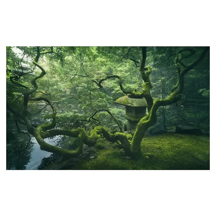 Papermoon Premium collection Fototapete Japanischer Baum - B x H: 250 x 186 cm, Vlies - Ein moosbedeckter japanischer Steinlaterne Garten mit einem malerischen Teich und einem knorrigen Baum im Vordergrund.