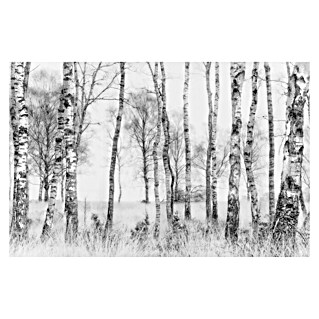 Papermoon Premium collection Fototapete Schwarz und Weiss (B x H: 200 x 149 cm, Vlies)