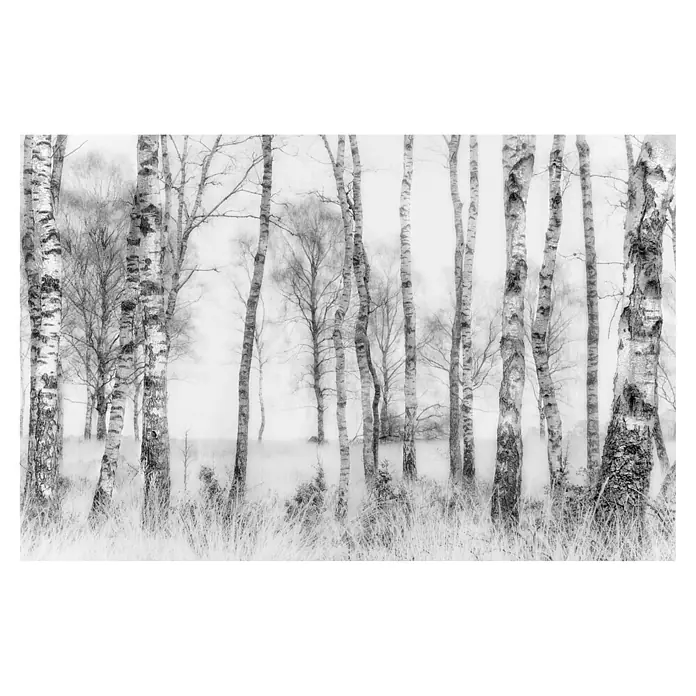 Papermoon Premium collection Fototapete Schwarz und Weiss