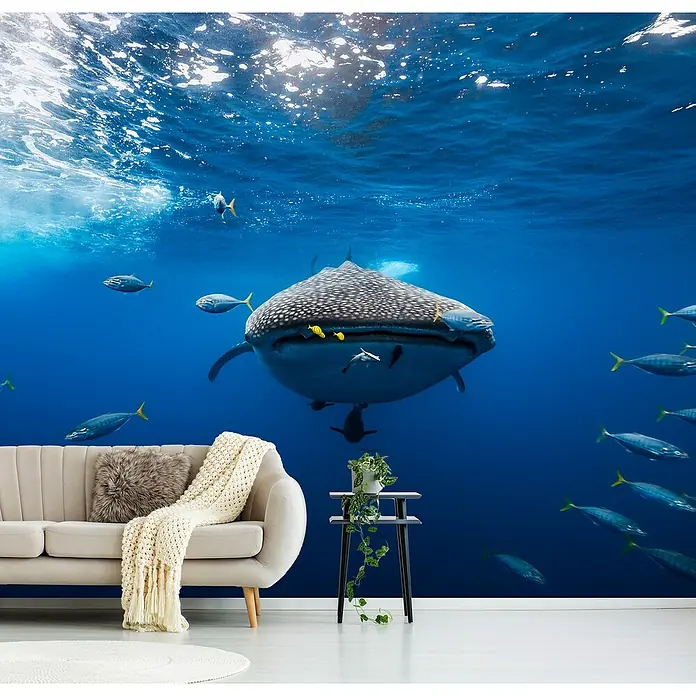 Papermoon Premium collection Fototapete Walhai Schule Bonito - B x H: 400 x 260 cm, Vlies - Ein Wohnzimmer mit einer Tapete, die einen Walhai und Fische im Ozean zeigt. Die Tapete verleiht dem Raum eine einzigartige Atmosphäre.