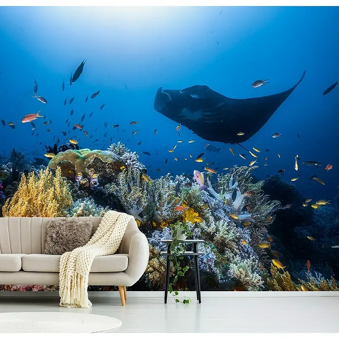 Papermoon Premium collection Fototapete Manta auf dem Riff - B x H: 250 x 186 cm, Vlies - Wandbild mit Unterwassermotiv, das ein entspannendes Wohnambiente schafft.