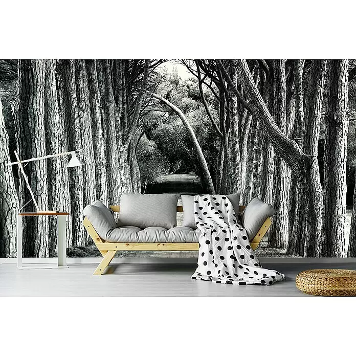 Papermoon Premium collection Fototapete Graue Allee - B x H: 300 x 223 cm, Vlies - Helles Holz-Futonsofa mit grauen Kissen und gepunkteter Decke, dazu ein Beistelltisch und Flechtpouf in einem Raum mit Waldwandbild.