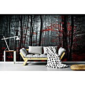 Papermoon Premium collection Fototapete Blutiger Forrest (B x H: 500 x 280 cm, Vlies) | BAUHAUS