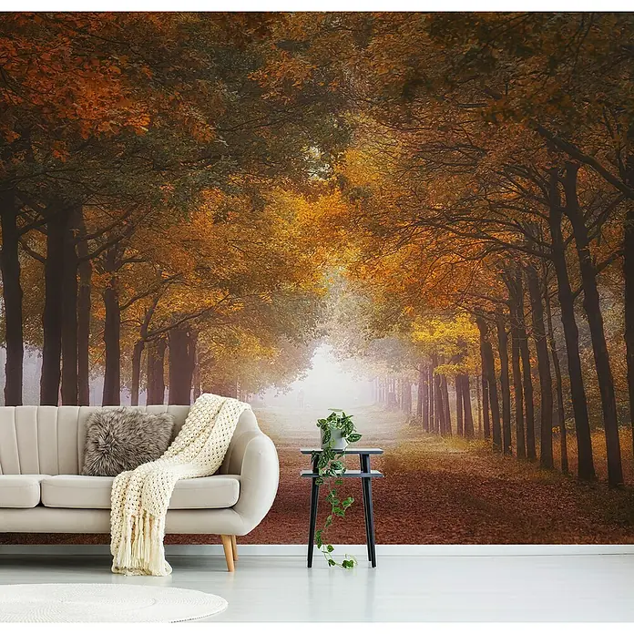 Papermoon Premium collection Fototapete Nebeliger Herbstraum - B x H: 300 x 223 cm, Vlies - Einladendes Wohnzimmer mit einer stimmungsvollen Waldtapete in Herbstfarben, die eine warme und gemütliche Atmosphäre schafft.
