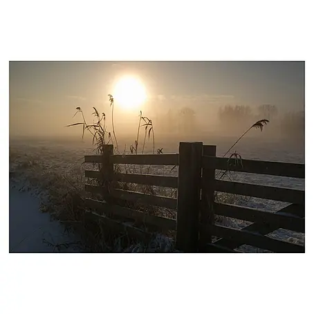 Papermoon Premium collection Fototapete Feld Wiese Gatter