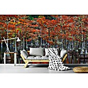 Papermoon Premium collection Fototapete Ruhige Bucht (B x H: 300 x 223 cm, Vlies) | BAUHAUS