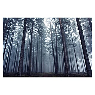 Papermoon Premium collection Fototapete Geheimnisvoll nebliger Wald (B x H: 300 x 223 cm, Vlies)
