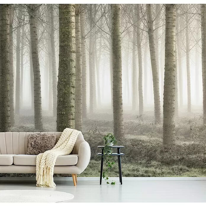 Papermoon Premium collection Fototapete Kleines Waldland - B x H: 250 x 186 cm, Vlies - Wohnzimmer mit beigem Sofa und Pflanze, dahinter eine ganze Wand mit einem Wandbild eines nebligen Waldes mit hohen, kahlen Bäumen.