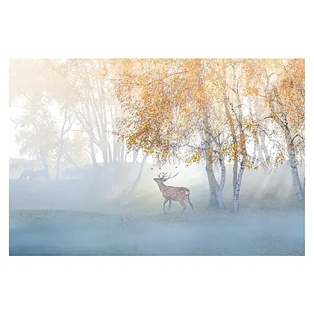 Papermoon Premium collection Fototapete Elch Nebel verloren