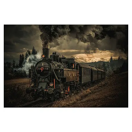 Papermoon Premium collection Fototapete Goldgraser-Zug.