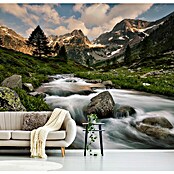 Papermoon Premium collection Fototapete Maritime Alpen Park (B x H: 250 x 186 cm, Vlies) | BAUHAUS