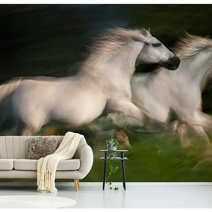 Papermoon Premium collection Fototapete Galopp für Zwei - B x H: 500 x 280 cm, Vlies - Wandbild mit zwei weißen Pferden im Bewegungsunschärfe-Effekt vor grün-dunklem Hintergrund, hinter einem hellen Sofa angebracht.