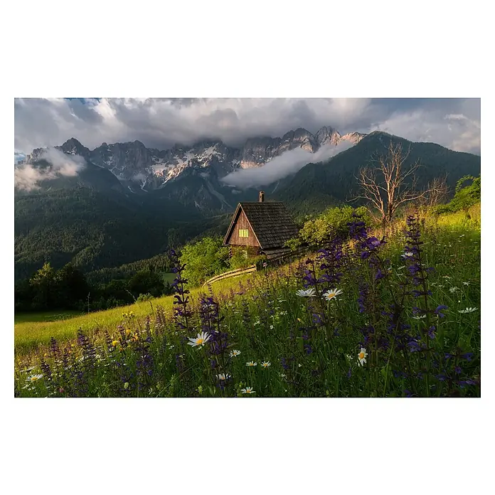 Papermoon Premium collection Fototapete Auf den Wiesen - B x H: 400 x 260 cm, Vlies - Ein gemütliches Holzhaus schmiegt sich an einen grünen Hügel, umgeben von Blumenwiesen und imposanten Bergen im Hintergrund. Ein wahrer Rückzugsort.