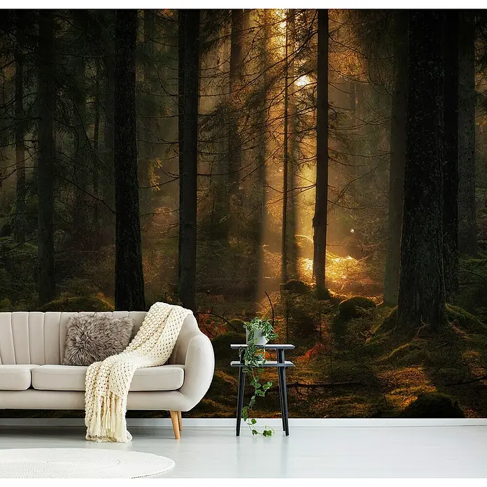 Papermoon Premium collection Fototapete Lichtung im Märchenwald - B x H: 300 x 223 cm, Vlies - Ein stilvolles Wohnzimmer mit einer Waldtapete, einem beigen Sofa und einem Beistelltisch mit einer Pflanze. Die Tapete bringt die Natur ins Haus.