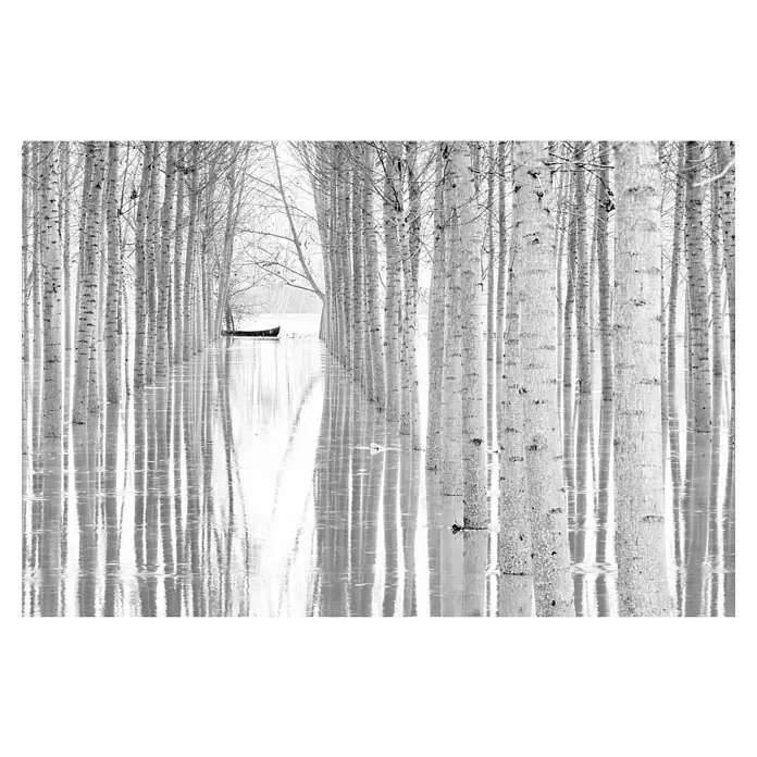 Papermoon Premium collection Fototapete Bewegungsfreiheit - B x H: 500 x 280 cm, Vlies - Schwarz-Weiß-Foto eines überfluteten Waldes mit hoch aufragenden Bäumen und einem einsamen Boot, das eine ruhige und eindringliche Szene einfängt.