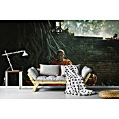 Papermoon Premium collection Fototapete Mönch morgendliche Meditation (B x H: 200 x 149 cm, Vlies) | BAUHAUS