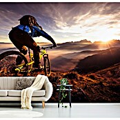 Papermoon Premium collection Fototapete Sunset Trail Ride (B x H: 300 x 223 cm, Vlies) | BAUHAUS