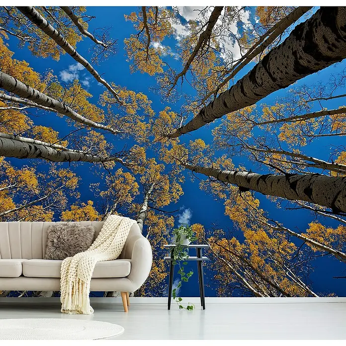 Papermoon Premium collection Fototapete Aspen's Fall - B x H: 250 x 186 cm, Vlies - Wandbild mit goldenen Baumkronen, die sich vor einem strahlend blauen Himmel erstrecken. Perfekte Dekoration, um Natur ins Zuhause zu holen.
