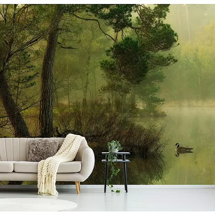 Papermoon Premium collection Fototapete Ente im See - B x H: 500 x 280 cm, Vlies - Wandtapete mit einem nebligen Wald und einem ruhigen See mit Ente, die hinter einem hellen Sofa eine ruhige Atmosphäre schafft.