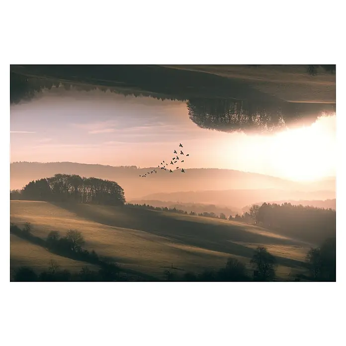 Papermoon Premium collection Fototapete Interplana - B x H: 250 x 186 cm, Vlies - Herbstliche Landschaft mit Hügeln, Bäumen und Vögeln im Morgennebel, die eine ruhige und idyllische Atmosphäre schafft.