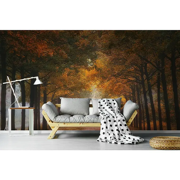 Papermoon Premium collection Fototapete Nebeliger Herbstraum - B x H: 300 x 223 cm, Vlies - Fototapete mit Waldmotiv, die eine gemütliche Atmosphäre schafft. Das Design zeigt einen herbstlichen Waldweg für eine natürliche Raumgestaltung.