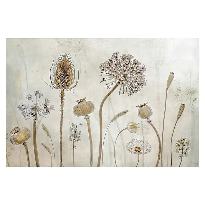 Papermoon Premium collection Fototapete Alt werden - B x H: 400 x 260 cm, Vlies - Dekorative Darstellung verschiedener getrockneter Wildblumen und Samenstände in neutralen Farbtönen auf beigem Hintergrund.