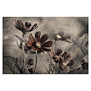 Papermoon Premium collection Fototapete Blume triste (B x H: 350 x 260 cm, Vlies)