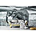 Papermoon Premium collection Fototapete Elefantenmutter mit Baby 