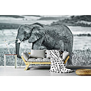 Papermoon Premium collection Fototapete Elefantenmutter mit Baby (B x H: 200 x 149 cm, Vlies)