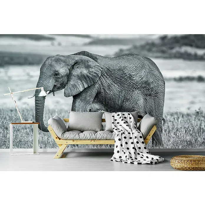 Papermoon Premium collection Fototapete Elefantenmutter mit Baby - B x H: 500 x 280 cm, Vlies - Schwarz-Weiß-Fototapete mit Elefantenmotiv. Eine stilvolle und moderne Wandgestaltung für Wohnräume.