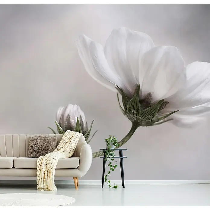 Papermoon Premium collection Fototapete Einfach Kosmos - B x H: 500 x 280 cm, Vlies - Wandbild mit einem zarten weißen Blumenmuster, das eine elegante und ruhige Atmosphäre im Raum schafft.